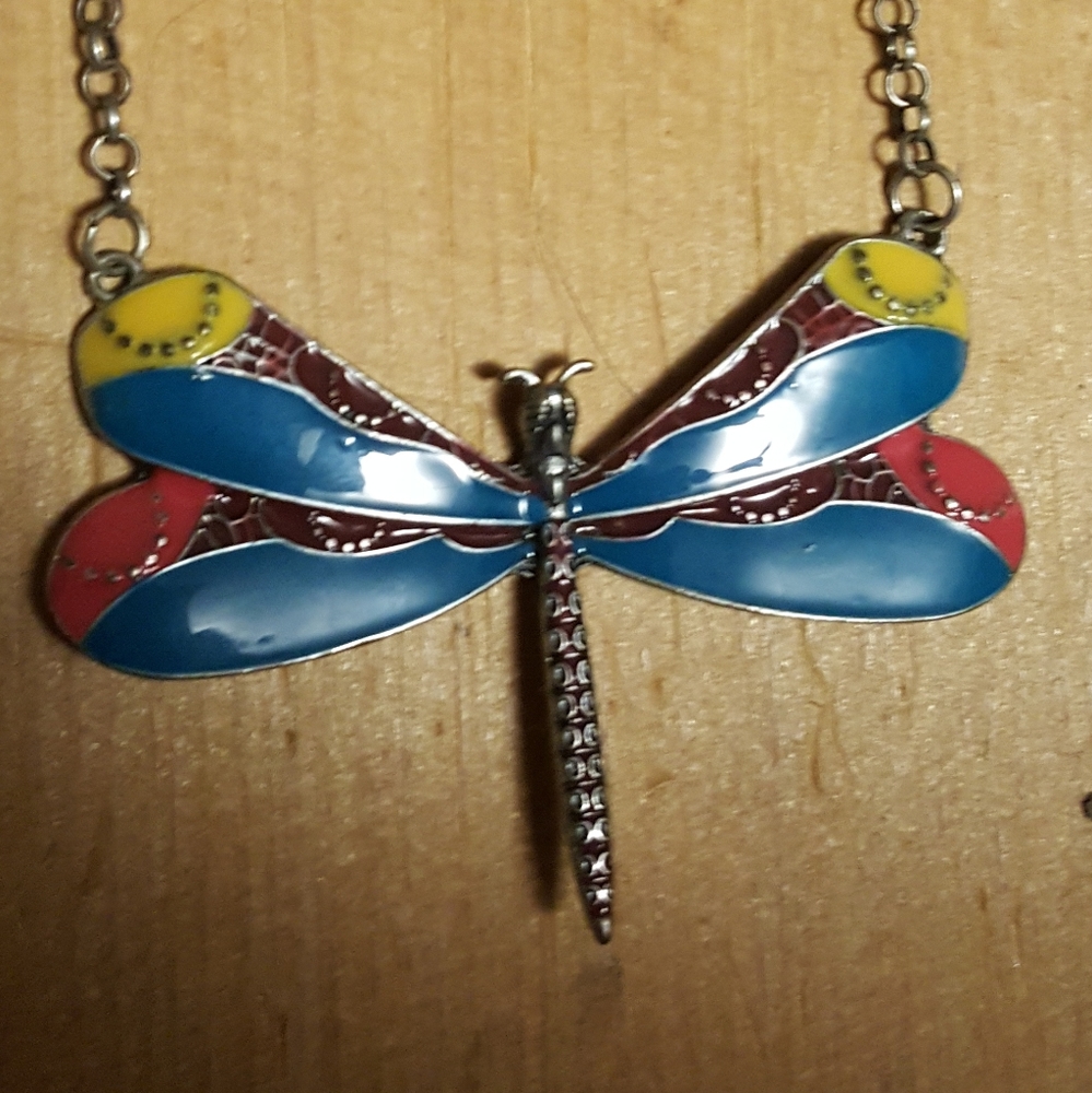 Vintage dragonfly necklace EUC